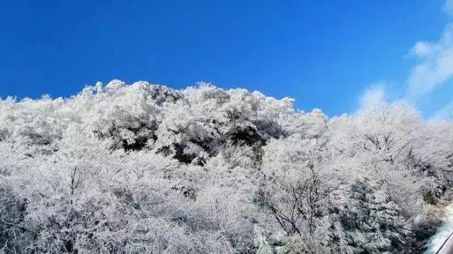 鬼吹灯之牧野诡事H5